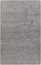 Chandra Alcon ALC-35501 Silver rug, flat view