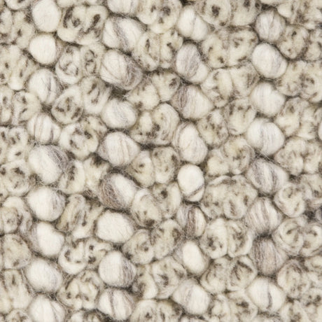Chandra Anni ANN-11401 Ivory and Brown rug, texture close-up