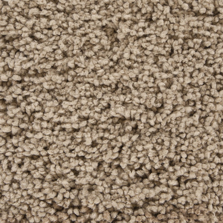Chandra Bella BEL-51401 Tan rug, texture close-up