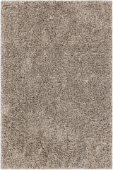Chandra Bolero BOL-51301 Beige rug, flat view