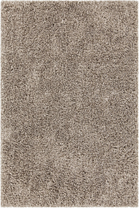 Chandra Bolero BOL-51301 Beige rug, flat view