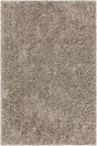 Chandra Bolero BOL-51301 Beige rug, flat view