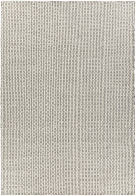 Chandra Bristol BRI-35809 Grey and White rug, flat view