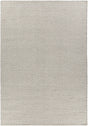 Chandra Bristol BRI-35809 Grey and White rug, flat view