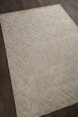 Chandra Catalina CAT-45102 Beige rug, angled side view