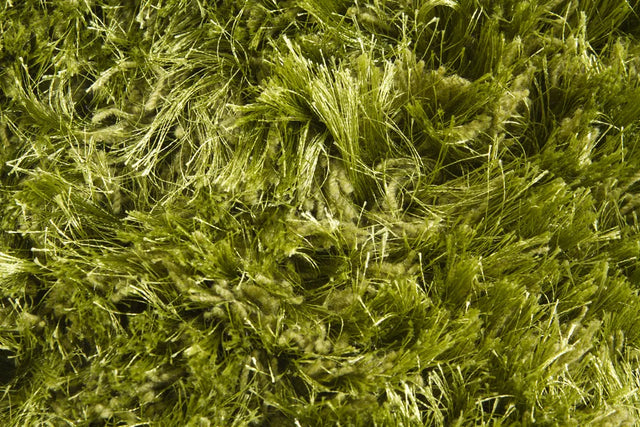 Chandra Celecot CEL-4705 Green rug, texture close-up