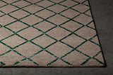 Chandra Aarushi Aar-44003 Beige / Green Rugs.