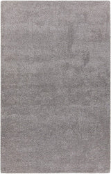 Chandra Alcon Alc35501 Silver Rugs.