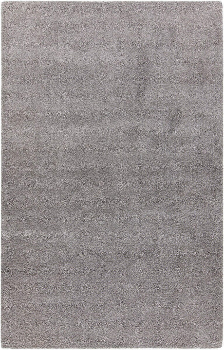 Chandra Alcon Alc35501 Silver Rugs.