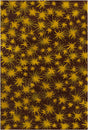 Chandra Allie All100 Gold / Brown Rugs.