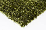 Chandra Anubis Anu5110 Green / Black Rugs.
