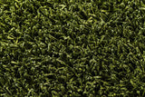 Chandra Anubis Anu5110 Green / Black Rugs.