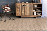 Chandra Art art-3550 Tan & Ivory Rugs.