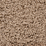 Chandra Bella Bel-51401 Tan Rugs.