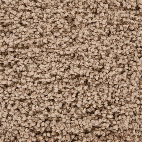 Chandra Bella Bel-51401 Tan Rugs.