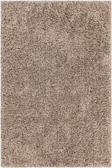 Chandra Bolero Bol-51301 Tan Rugs.