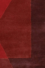 Chandra Daisa dai-9 Brown Rugs.