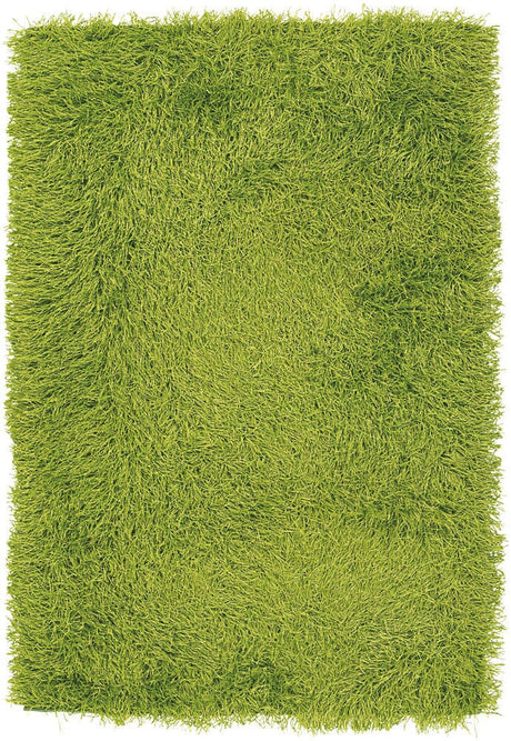 Chandra Duke duk20900 Green Rugs.