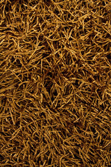 Chandra Duke duk20904 Brown Rugs.
