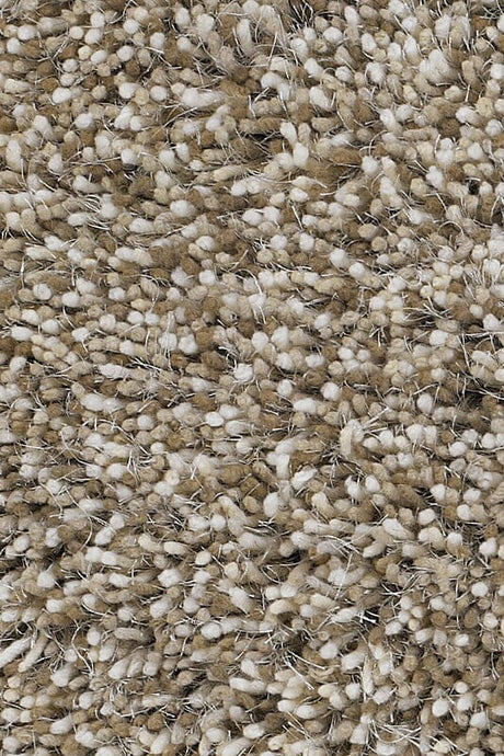 Chandra Estilo est18500 Tan & Ivory Rugs.