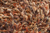 Chandra Estilo est18502 Beige Rugs.