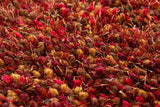 Chandra Estilo est18503 Red Rugs.