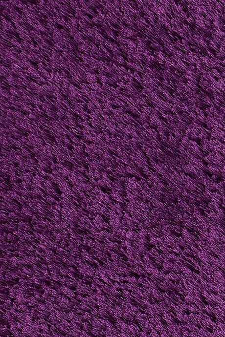 Chandra Giulia Giu-27810 Purple Rugs.