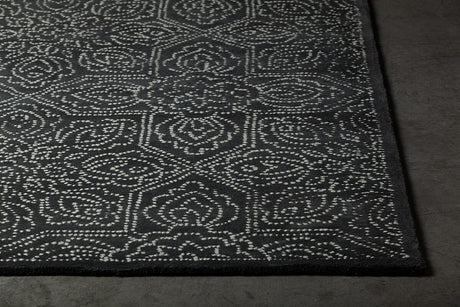 Chandra Hailee Hai-49600 Black / White Rugs.