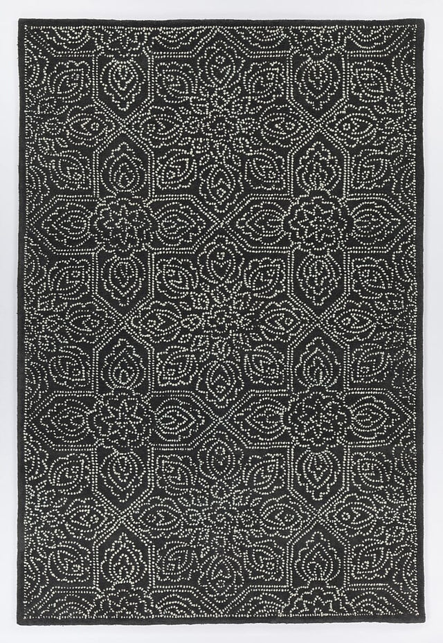 Chandra Hailee Hai-49600 Black / White Rugs.