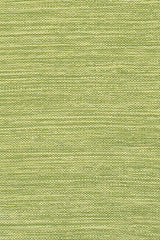 Chandra India ch-ind-6 Green Rugs.