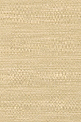 Chandra India Ind8 Beige Rugs.