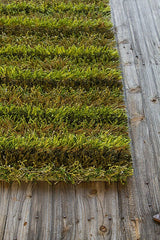 Chandra Kubu kub16501 Green Rugs.