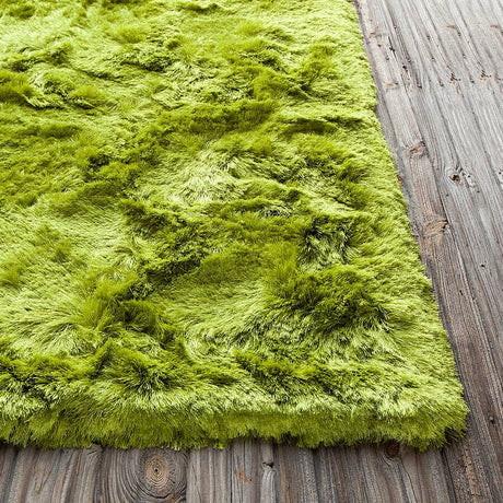Chandra Naya nay18800 Green Rugs.