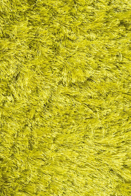 Chandra Naya nay18800 Green Rugs.