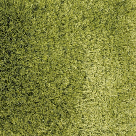 Chandra Naya nay18800 Green Rugs.
