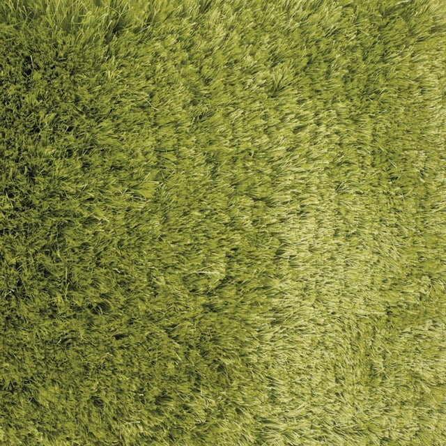 Chandra Naya nay18800 Green Rugs.