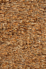 Chandra Naya nay18803 Brown Rugs.
