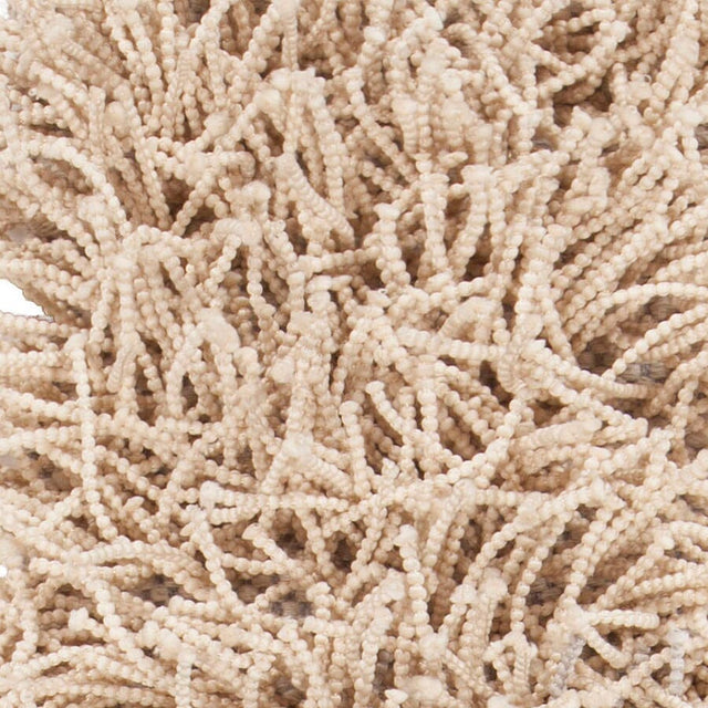 Chandra Nyla Nyl43303 Beige Rugs.