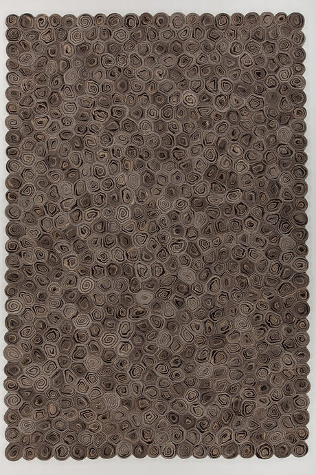 Chandra Patagonia Pat-46800 Taupe / Brown / Beige Rugs.