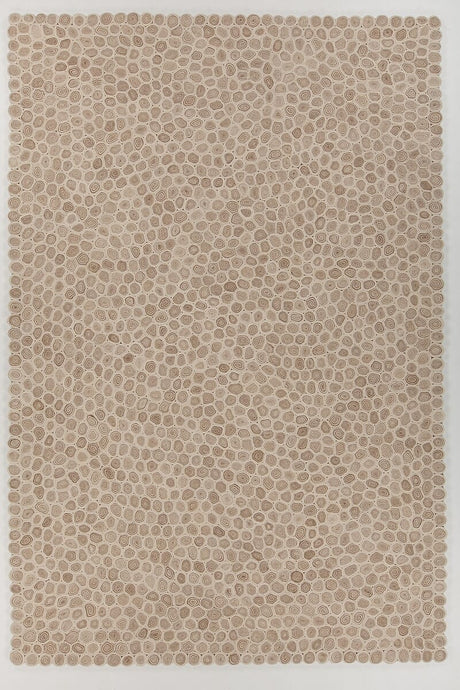 Chandra Patagonia Pat-46801 White / Brown / Beige Rugs.