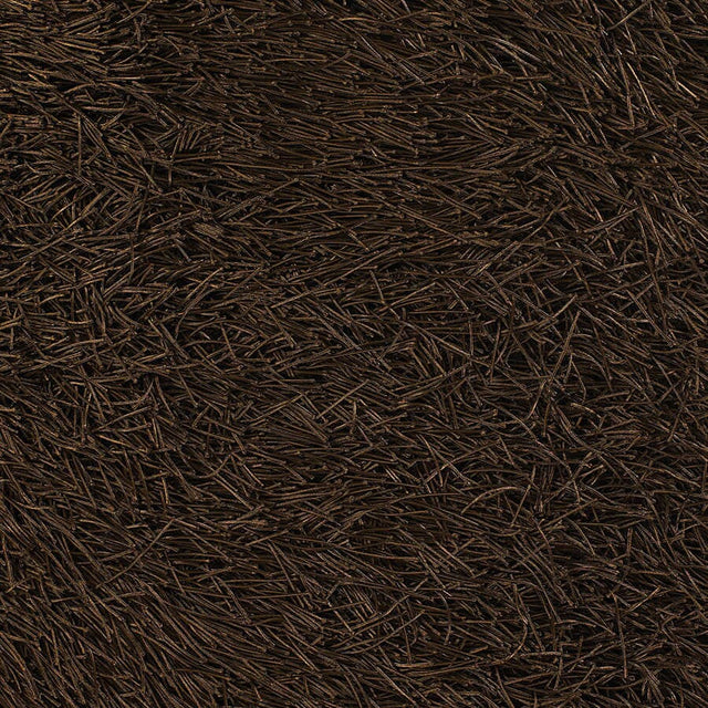 Chandra Poligan Pol30801 Brown Rugs.