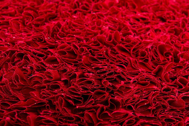 Chandra Proline Pro32305 Red Rugs.