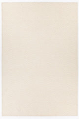 Chandra Raven Rav-47401 Ivory Rugs.