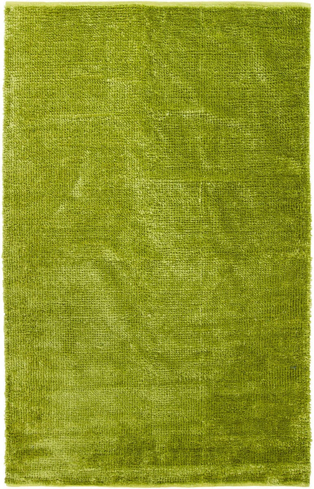 Chandra Rio Rio12303 Green Rugs.