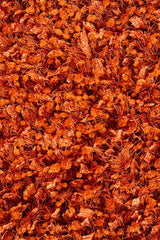 Chandra Riza riz19501 Brown Rugs.