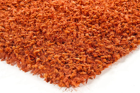 Chandra Riza riz19501 Brown Rugs.