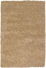 Chandra Riza Riz19502 Tan Rugs.