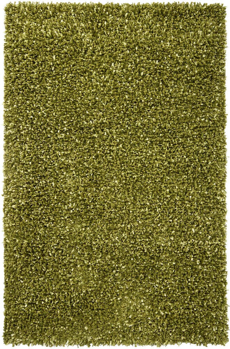 Chandra Riza Riz19503 Green Rugs.