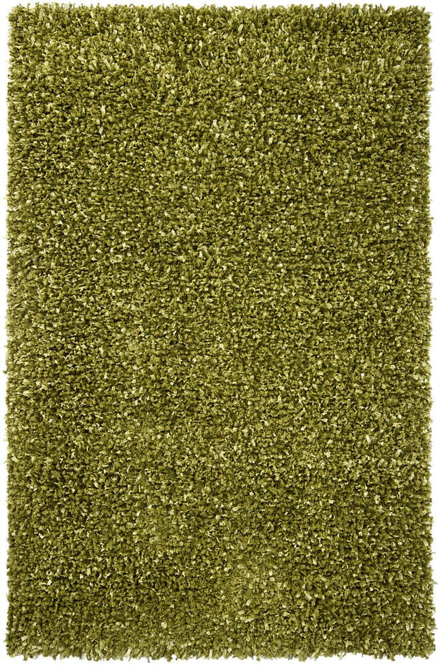 Chandra Riza Riz19503 Green Rugs.