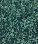Chandra Riza riz19504 Blue Rugs.